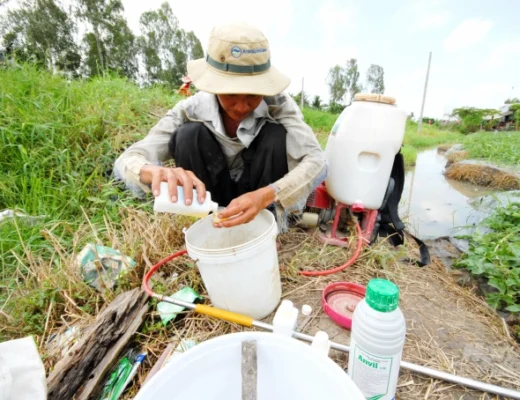 Pha thuốc trừ sâu bằng tay trần, không mang đồ bảo hộ