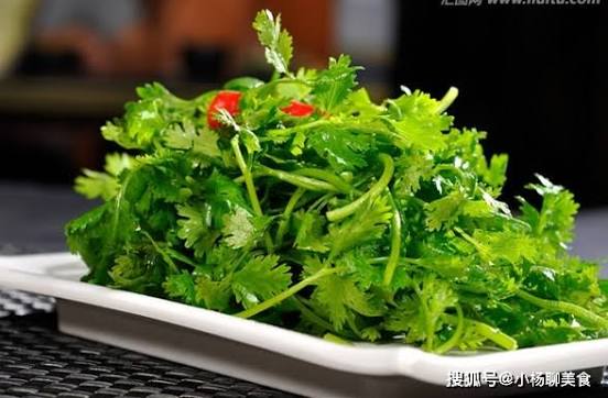 Rau mùi có tính giải độc tốt