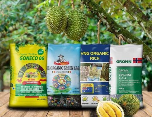 Bón phân hữu cơ cho cây sầu riêng sau thu hoạch