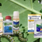 các loại thuốc trừ sâu