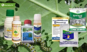các loại thuốc trừ sâu
