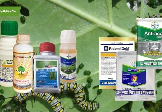 các loại thuốc trừ sâu