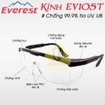 Kính bảo hộ Everest EV105T