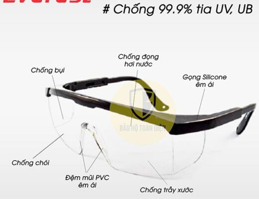 Kính bảo hộ Everest EV105T