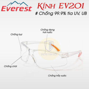 Kính bảo hộ lao động Everest EV201