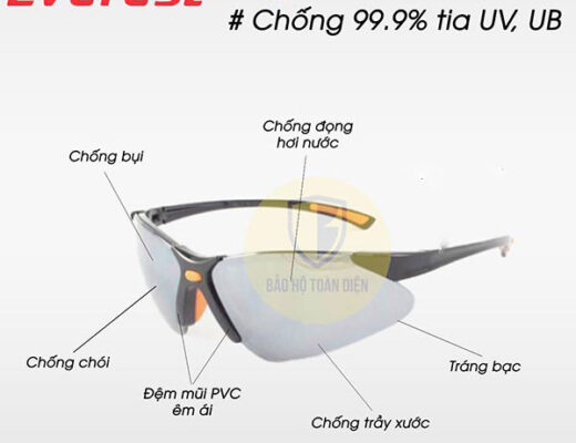 Kính bảo hộ Everest EV304