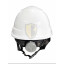 Mũ Bảo Hộ Deltaplus QUARTZ UP IV