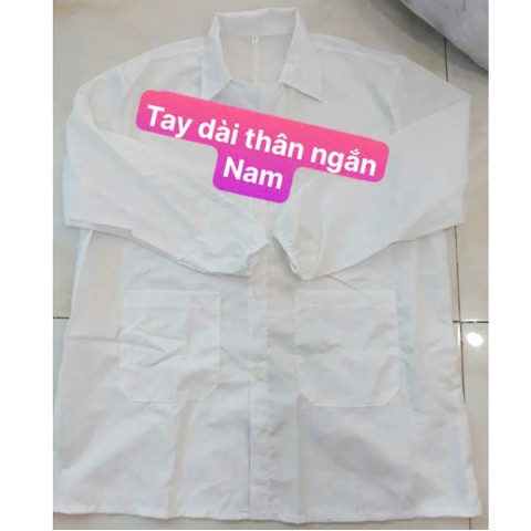 Áo blouse dài tay, thân ngắn