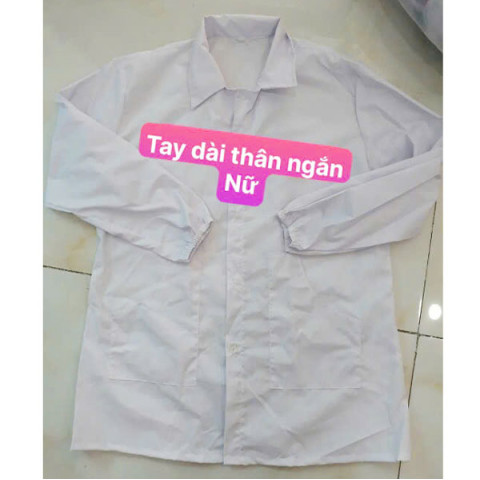 Áo blouse dài tay, thân ngắn